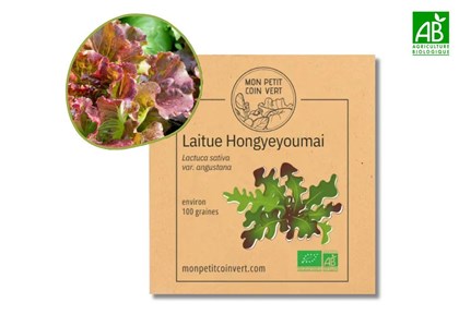 Laitue hongyeyoumai bio