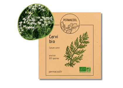 Carvi bio