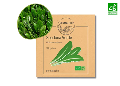 Chicorée sauvage spadona bio