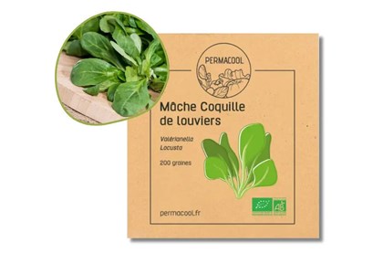Mâche coquille de louviers bio