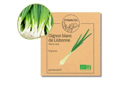 Oignon blanc de lisbonne bio