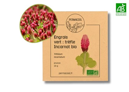 Engrais vert : trèfle incarnat bio