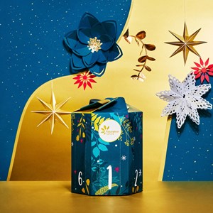 Calendrier de l'après rêverie végétale