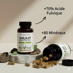 Gélules de shilajit (60 gélules)