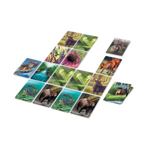 Écosystème – forêt - le jeu de cartes