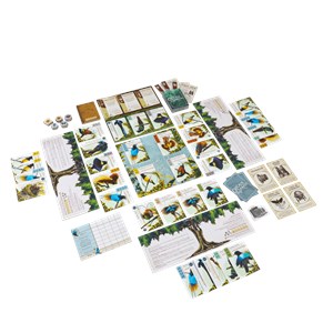 Oiseaux de paradis - le jeu de plateau