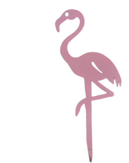 Flamant rose lady pink à planter - taille m