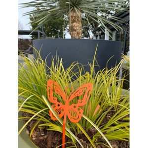 Papillon beautiful à planter - taupe - 100% acier inoxydable