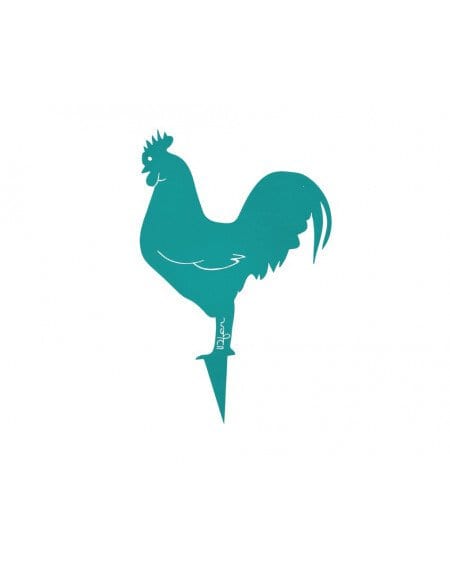 Coq mister panache à planter - bleu turquoise