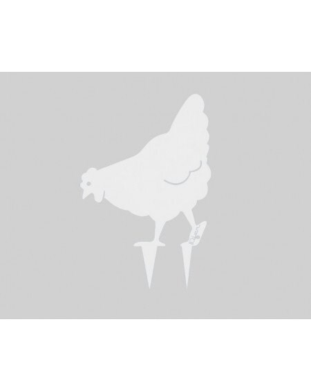 Idfer - Poule miss chabo à planter - blanc pur