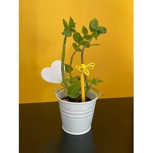 Abeille - piquets déco à planter - vert tendre - 100% inox