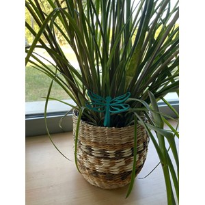 Libellule - piquets déco à planter - vert tendre - 100% inox