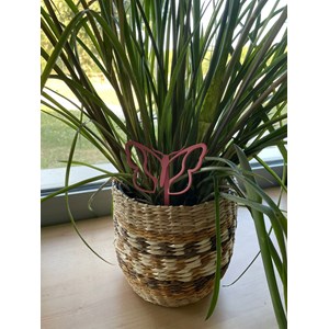 Papillon - piquets déco à planter - blanc pur - 100% inox