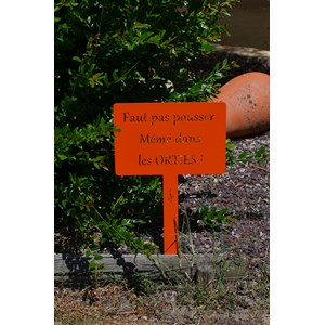 Étiquette de jardin à planter avec citation - vert tendre - 100% acier galvanisé