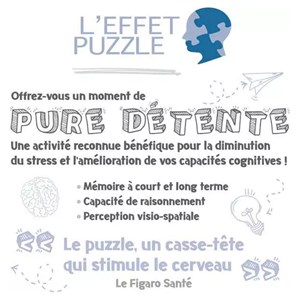 Puzzle 500 pieces - vue sur central park