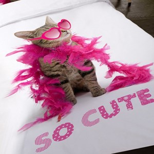 Housse de couette 140x200 + 1 taie