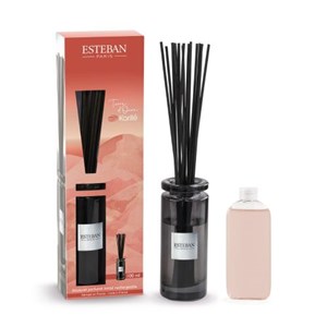 Bouquet parfumé initial terre d’ocre karité
