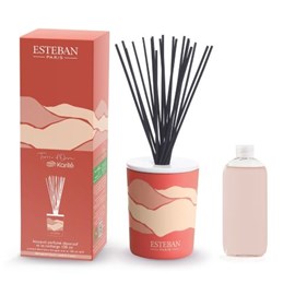 Bouquet parfumé décoratif terre d’ocre karité