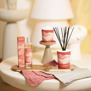 Recharge bouquet 250ml terre d’ocre karité