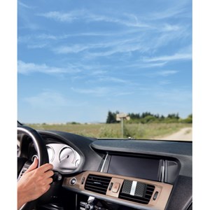 Diffuseur de voiture vanille d’or