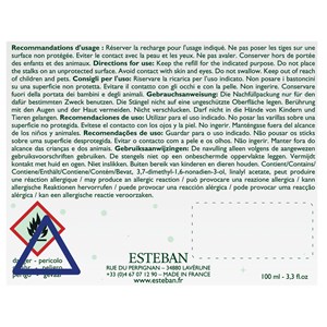 Bouquet noël baies et fleur d’hiver