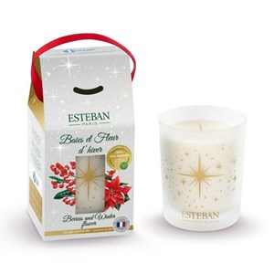 Bougie noël 180g baies et fleur d’hiver
