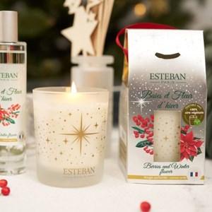 Bougie noël 180g baies et fleur d’hiver