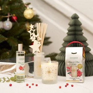 Bougie noël 180g baies et fleur d’hiver