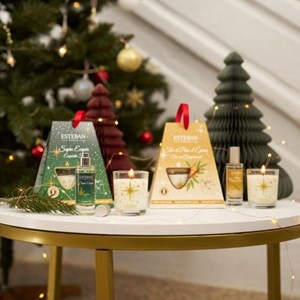 Coffret noël duo bougie & vapo thé et pain d’épices