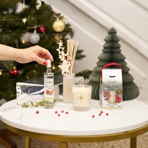 Vaporisateur baies et fleur d’hiver