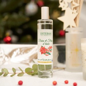 Vaporisateur baies et fleur d’hiver