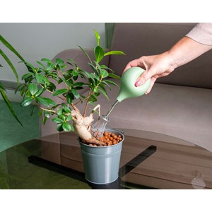 Pulvérisateur arrosoir sprizzy 240ml