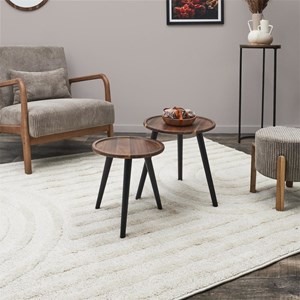 Lot de 2 tables gigognes