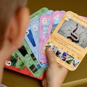 Jeu de 7 familles, les animaux rigolos