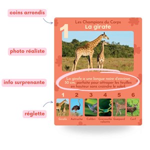 Jeu de 7 familles, les animaux rigolos