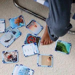 Mes 40 premiers mots: mers & océans