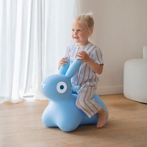 Ballon sauteur hoppi