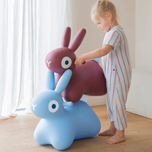 Ballon sauteur hoppi