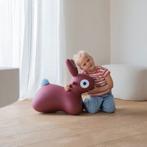 Ballon sauteur hoppi