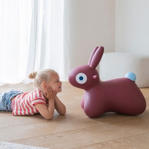 Ballon sauteur hoppi