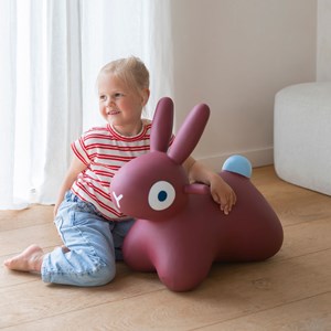 Ballon sauteur hoppi