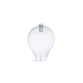 Pranarom - ampoule et verrerie pour diffuseur edison