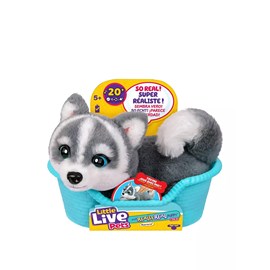 Little live pets aurora le husky