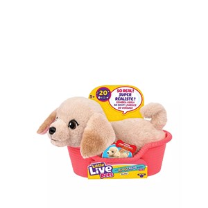 Little live pets buddy le labrador