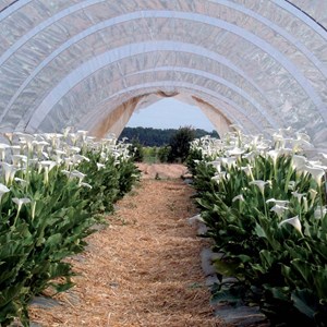 Bâche de protection 4x6 m 160 g-m2