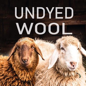 Pull ivanhoe nls holly coll blanc 38