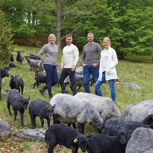 Ivanhoe pull nls pétale de bouleau M