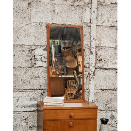 Igor, le miroir rétroviseur n°758