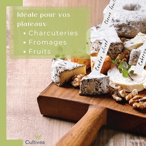 Lot de 100 étiquettes jardin potager + marqueur – étiquettes plantes (blanc)