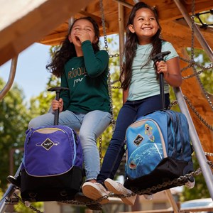 Bodypack sac à dos à roulettes 2 compartiments comète violette